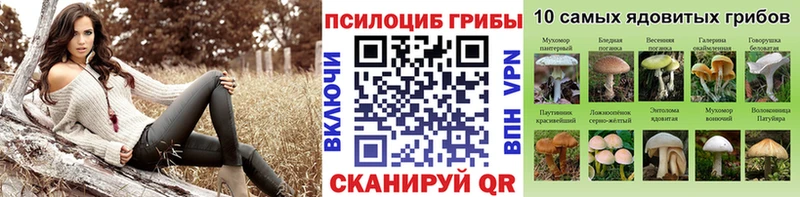 где продают наркотики даркнет клад Галлюциногенные грибы MAGIC MUSHROOMS Димитровград